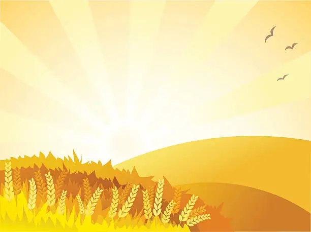Vector illustration of Sunny golden landscape