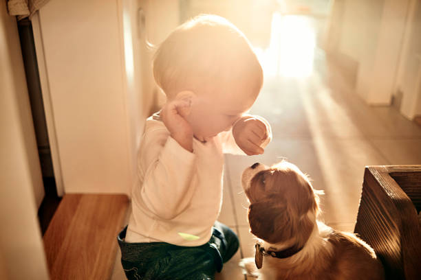 baby and the dog growing up together