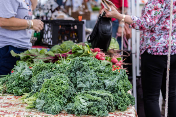 istock Vegetable Spread at Farmers Market 931316234