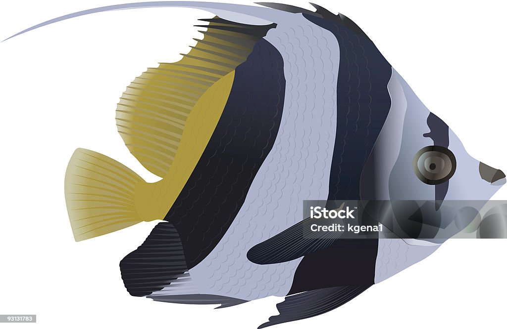 Вымпел coralfish - Векторная графика Longfin Bannerfish роялти-фри