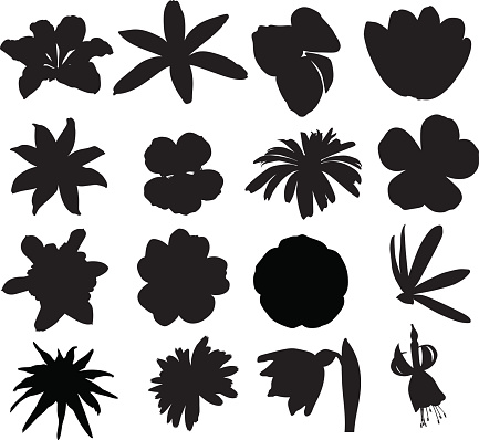 Vector flower shapes in black and white. Zip file contains: .ai, .eps, .svg, .jpg