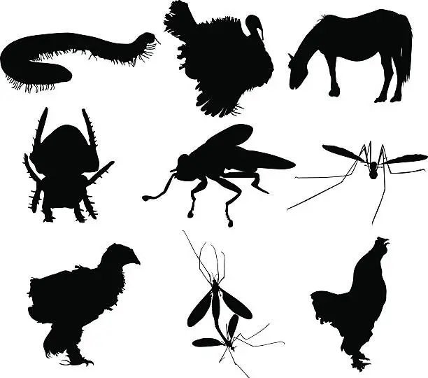 Vector illustration of Animal silhouettes