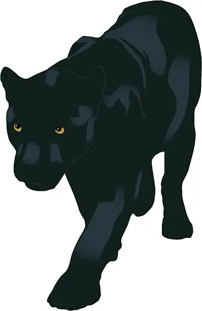 Vector illustration of panther