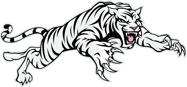 ホワイトのタイガー - tiger mascot jumping claw点のイラスト素材／クリップアート素材／マンガ素材／アイコン素材