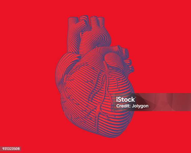 Graphic Stylized Human Heart Illustration Stock Illustration - Download Image Now - Heart - Internal Organ, Heart Shape, Illustration