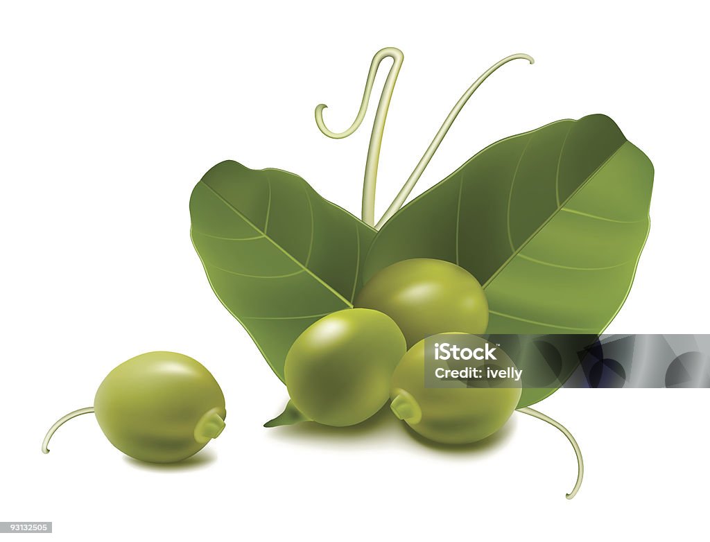 Petits pois avec feuille. - clipart vectoriel de Petit pois immature libre de droits