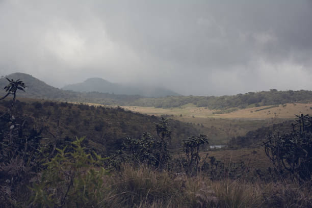 istock Scenic View Of Field And Mountains Against Sky 931326742