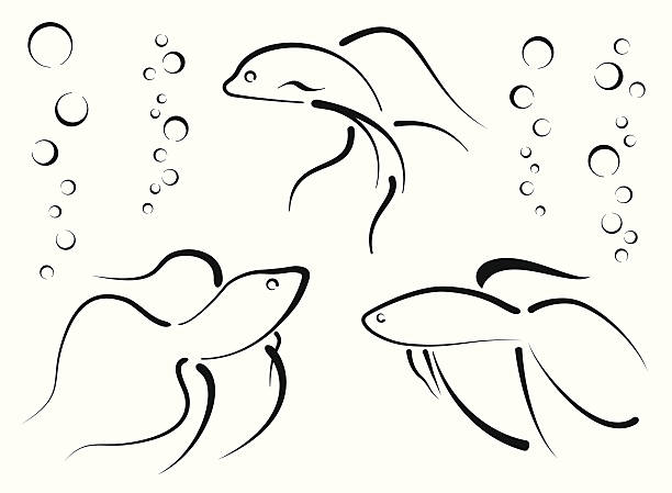 베타 고기잡이 디자인식 설정 - bettafish stock illustrations