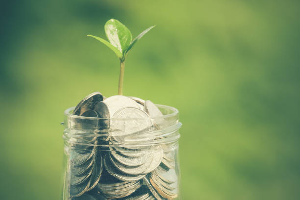 istock Close-Up Of Plant 931332578