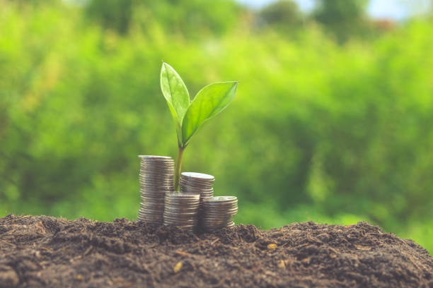 istock Close-Up Of Plant Against Trees 931333112