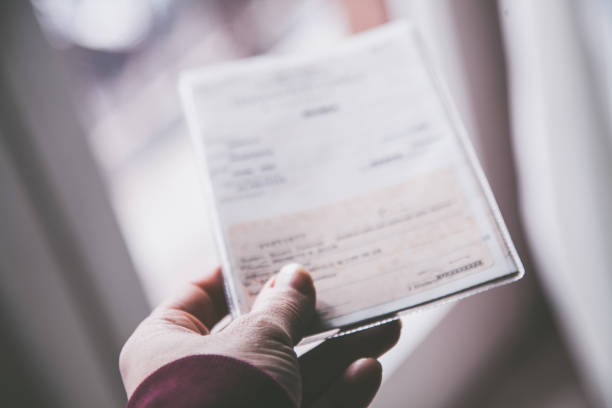 istock Electoral card, Elections Italy 2018 931333804