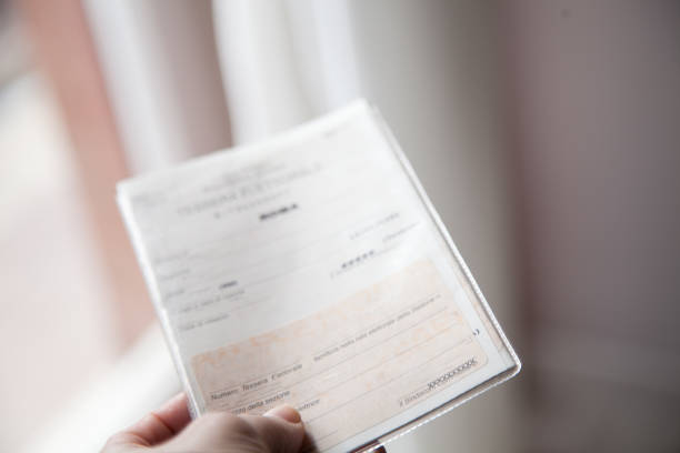 istock Electoral card, Elections Italy 2018 931333864