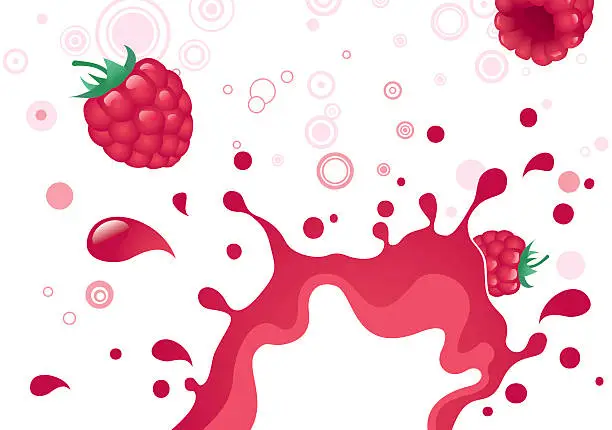 Vector illustration of Vector illustration of raspberries and splashes on white