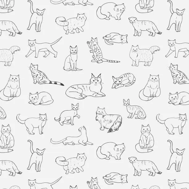 Vector illustration of cats animals vector pattern