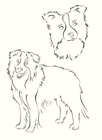 Border Collie Design Border Collie Design Set Stock Illustration - Download Image Now ...