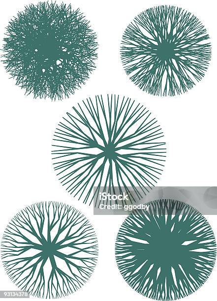 Simple Tree Top Treetop Set Stock Illustration - Download Image Now - Pine Tree, Tree ...