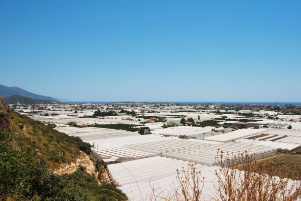 Aerial view of greenhouses Aerial view of greenhouses in Antalya, Turkey greenhouse nightclub nyc photos stock pictures, royalty-free photos & images