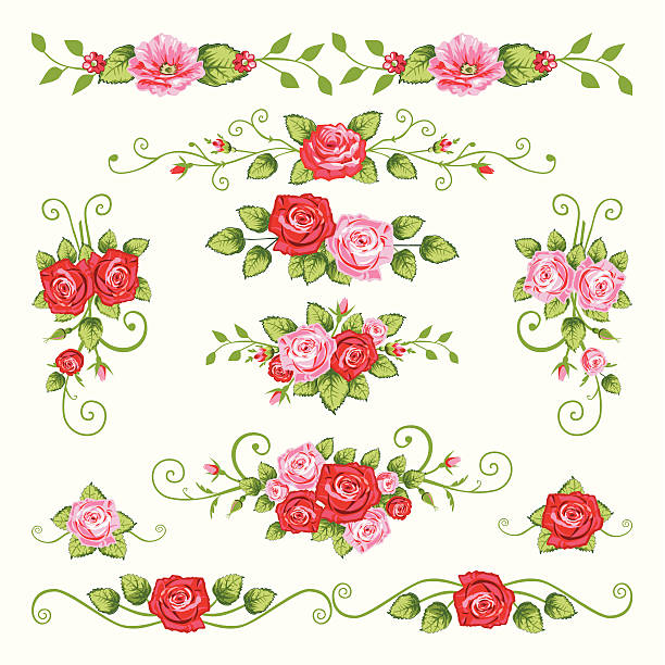 Colección de rosas - ilustración de arte vectorial