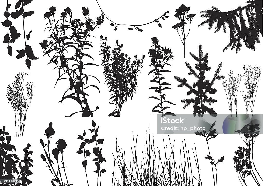 vector plants silhouettes  Bush stock vector