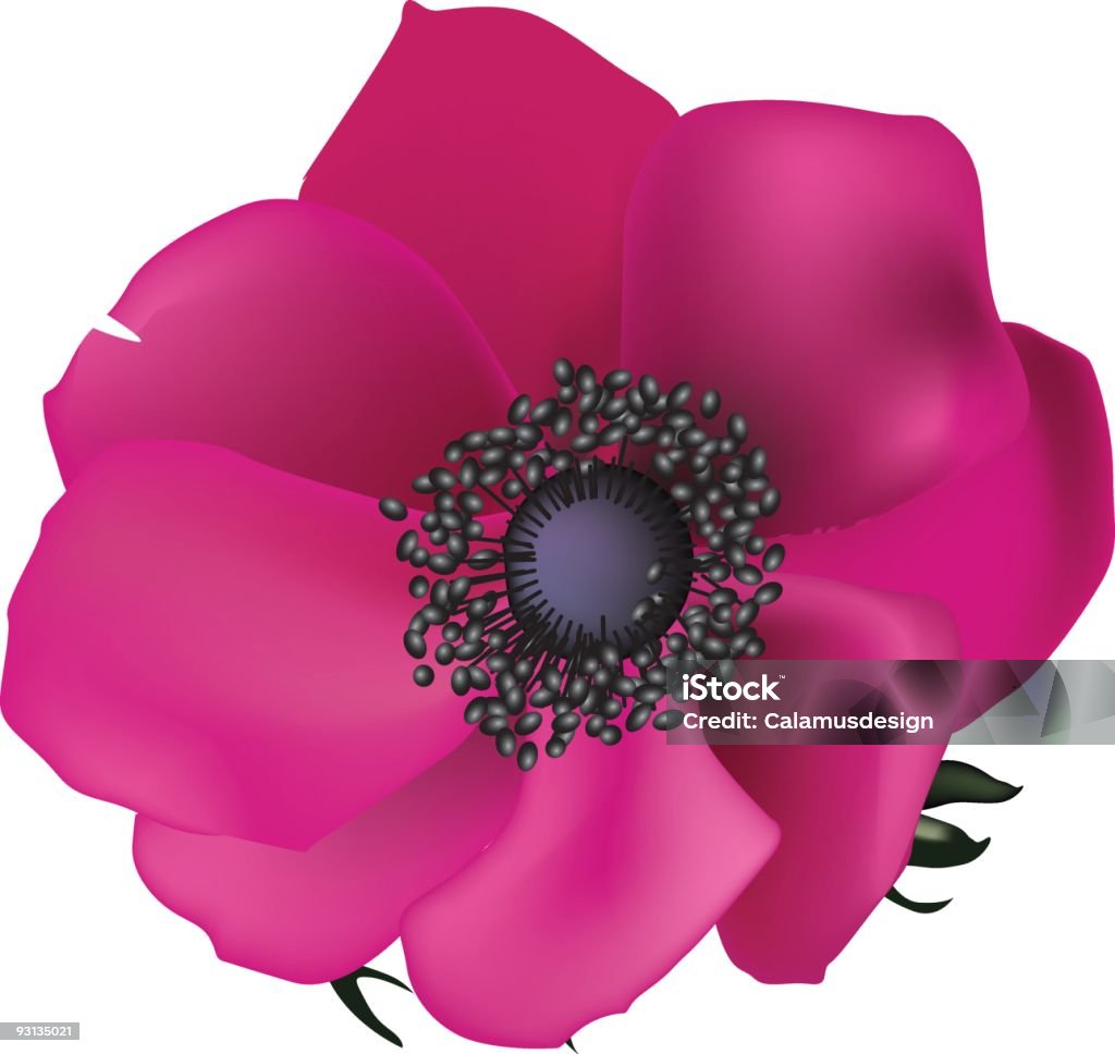 różowy kwiat - Grafika wektorowa royalty-free (Bliskie zbliżenie)