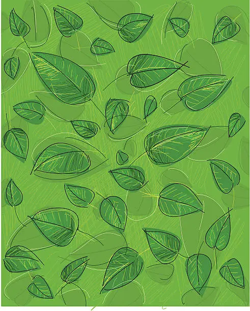 Vector illustration of leaf background