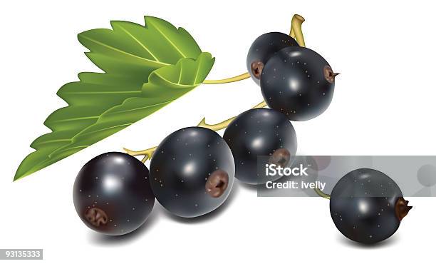 Ilustración de Grosella Negra Con Verde Hoja y más Vectores Libres de Derechos de Alimento - Alimento, Color - Tipo de imagen, Color negro