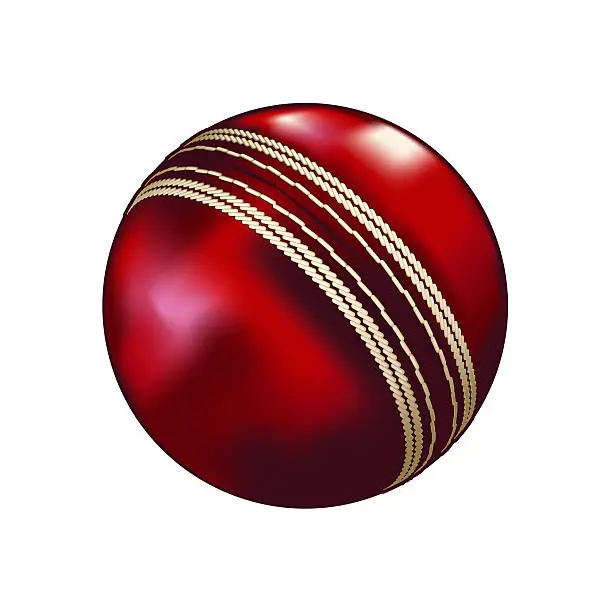 Vector illustration of Cricket Ball