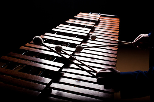 The hands of a musician playing the marimba