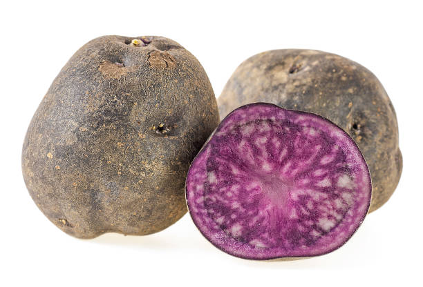 istock Purple potatoes on a white background. Vitelotte potatoes. 931363834