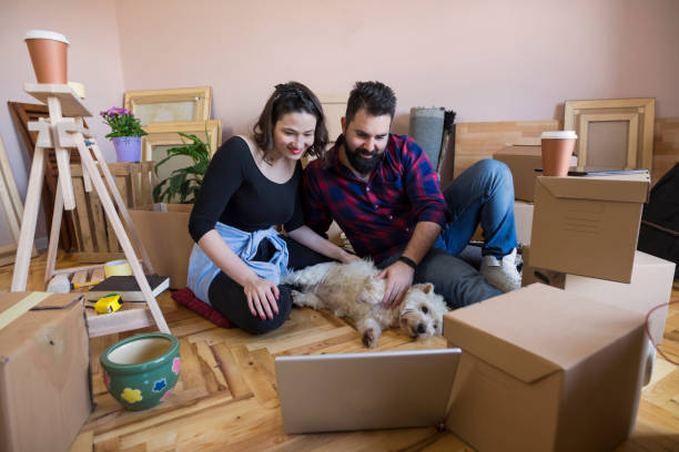 istock I want to help,I want to play 931364800