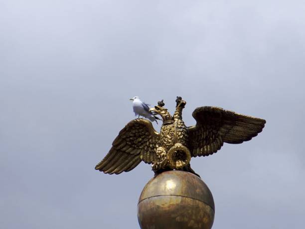 istock Low Angle View Of Seagull Perching On Statue Against Sky 931365134