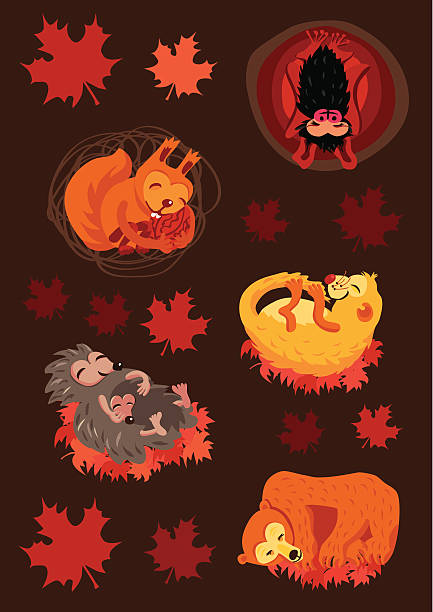 babyanimalsinhibernation - winter cave bear hibernation stock illustrations