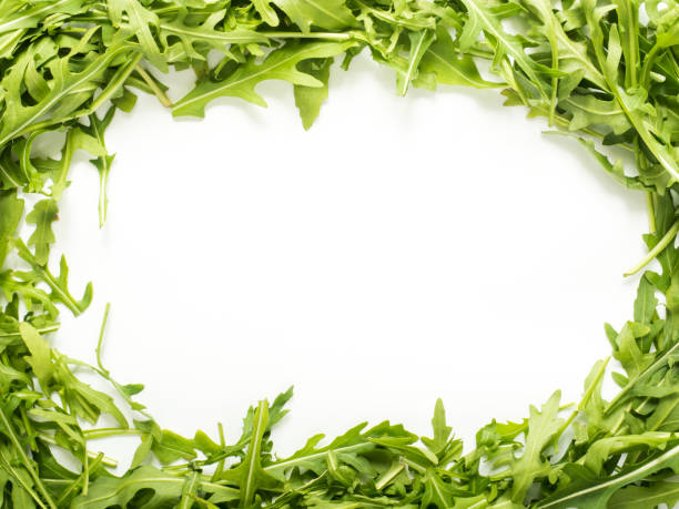 istock Frame of green arugula leaves on white background Copy space 931370084