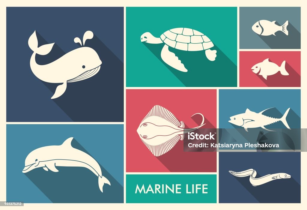 The silhouettes of sea creatures Marine life. Whale, dolphin shark stingray eel and turtle Animal stock vector