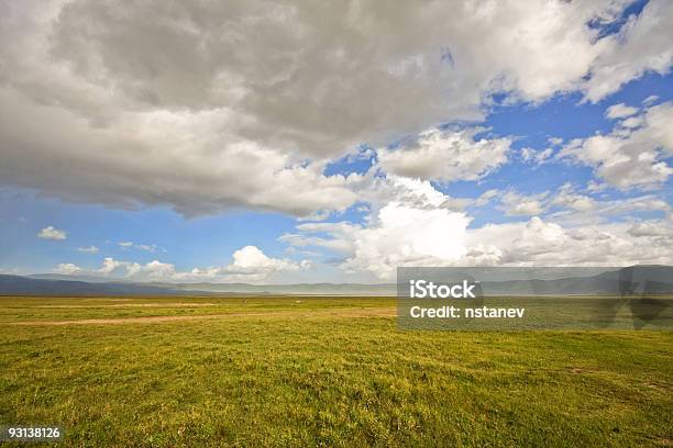 Dentro De Cratera De Ngorongoro - Fotografias de stock e mais imagens de Amarelo - Amarelo, Ao Ar Livre, Azul