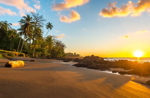 parco nazionale del corcovado al tramonto - tamarindo foto e immagini stock