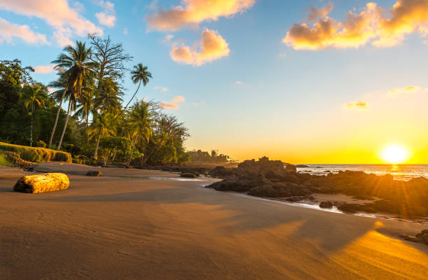 Corcovado National Park at Sunset stock photo