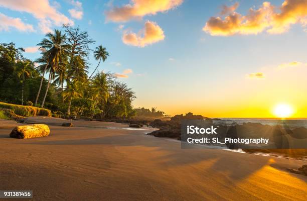 Corcovado National Park At Sunset Stock Photo - Download Image Now - Costa Rica, Beach, Tortuguero