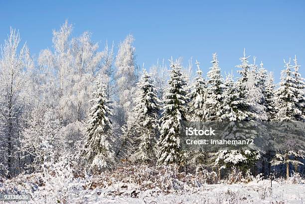 Foto de Entre Madeira e mais fotos de stock de Azul - Azul, Bosque - Floresta, Branco