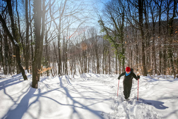 istock Hiker walking on a snowy mountain 931388956