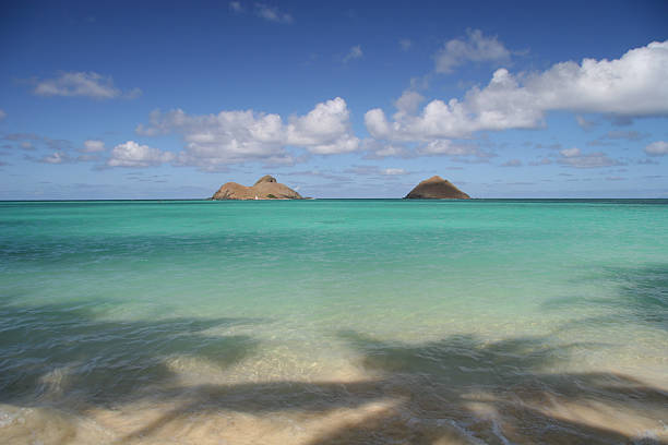 istock Reflections of Paradise at Lanikai beach Hawaii 93139195