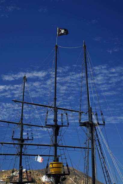 A docked old sailing ship with masts and flags including a pirate flag in the center.
