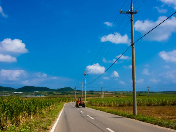 Camera : OLYMPUS Pen E-P3 \nLens : M.ZUIKO Digital 14-42mm F 3.5-5.6\nWhen : 24/Oct./2011\nWhere : Ishigaki Island