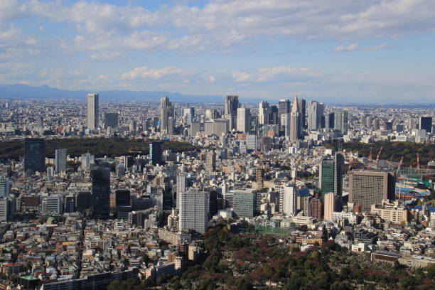 istock Tokyo aerial cityscape, Japan 931396038