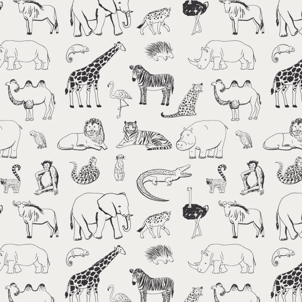 ilustrações de stock, clip art, desenhos animados e ícones de african animals vector pattern - ostrich ape animal monkey