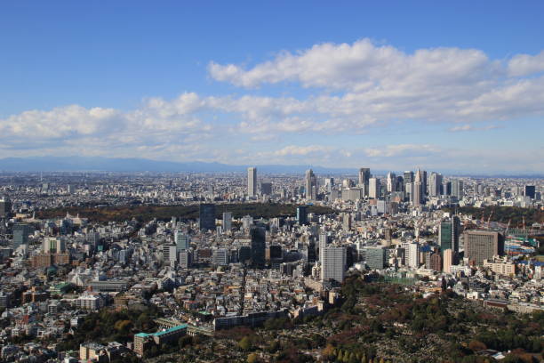 istock Tokyo aerial cityscape, Japan 931396536