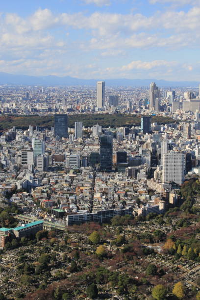 istock Tokyo aerial cityscape, Japan 931396792