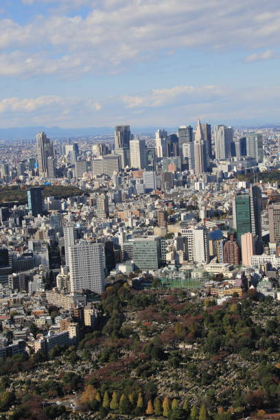 istock Tokyo aerial cityscape, Japan 931396924