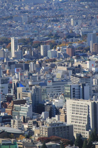 istock Tokyo aerial cityscape, Japan 931397072