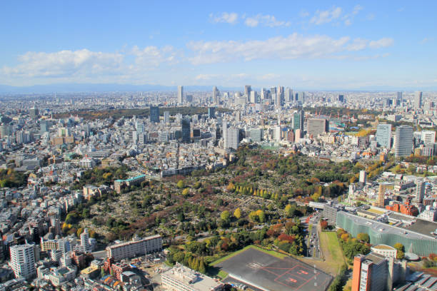 istock Tokyo aerial cityscape, Japan 931399656